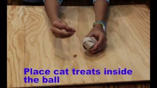 Cat Treat Toy Tutorial Green Jelly Beans