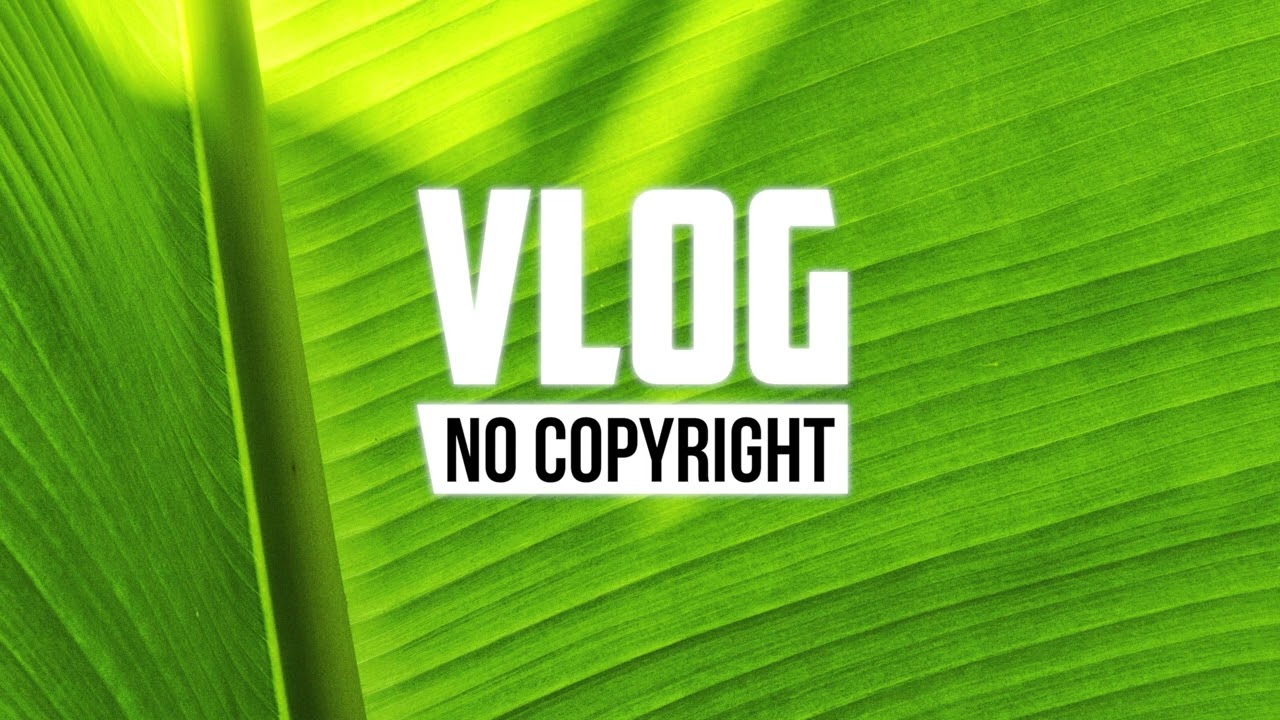 Guarda Waesto - Coconut (Vlog No Copyright Music) su YouTube Guarda Waesto - Coconut (Vlog No Copyright Music) su YouTube