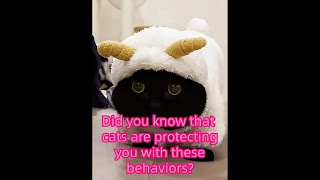 Did you know that cats are protecting you with these behaviors?