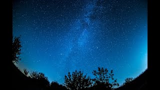 10 Hours - Crickets and Frogs - Cricket Sounds - Frog Sounds - Nature Sounds - Night Ambience.