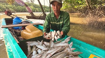 Lạc Vào Khu Rạch  "Nhảy Như Mưa"  Mò Tôm Dính Cá Thấy Ham