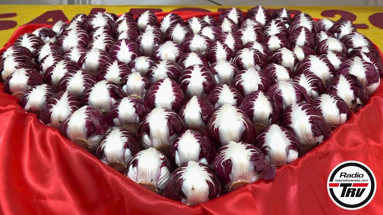 inaugurazione della 37ª Fiera del Radicchio Rosso di Casaleone