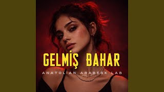 Gelmiş Bahar Geçmiş Yazlar