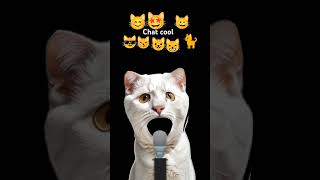 #memes #cool#chat#funny #mon chat#