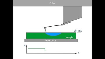 AFAM. AFM Theory from NT-MDT.