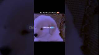 Chhole Jaisi Aankhein 👀 | Cute Potato #shorts #trending