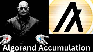 Algorand (ALGO) Bear Market Worst Case Scenario. ALGO Chart Analysis And Price Prediction 2026