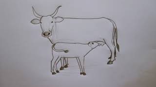 how to draw cow and calf drawing easy step for beginners