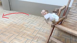 Baby FIDO Yelling So Loud Jump From Folding Chair To Hug Mom's Leg