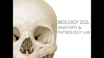 Quiz 3 Review session