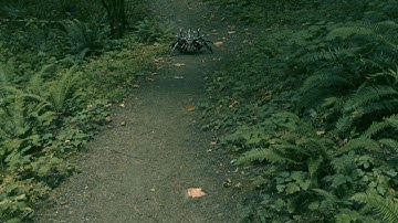 spider walkcycle jungle