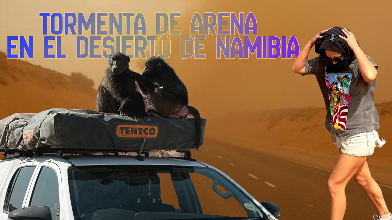 ⁣20 días en 4x4 por África: tormenta de arena en el desierto de Namibia 🌪️