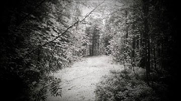 Hirajoshi piano-improvisation no. 5