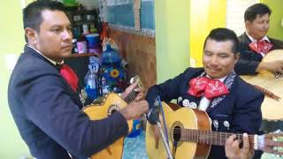 Video thumbnail of "MIS GAVILLAS MARIACHI EMBAJADORES DE CRISTO"