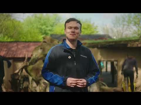Behind the scenes of a volunteering day with Grundon at ZSL London Zoo