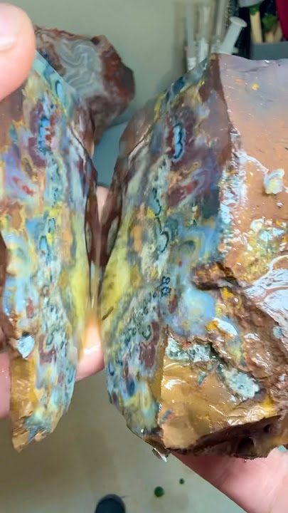 What an AMAZING Piece of Jasper 😱