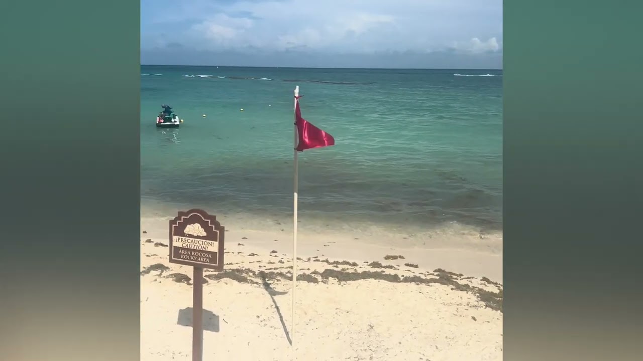 #wheresdeneen #live a #dream #life #international #travel #travelvlog #shorts #short #shortvideo