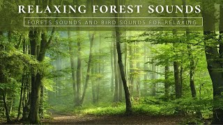 Forest Sounds to Relieve Stress - Birds Singing helps Relax, Fatigue, Depression, Negativity