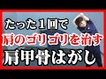 【肩甲骨はがし】肩を回して「ゴリゴリ」鳴る音を治す方法|東京新宿整体サロン