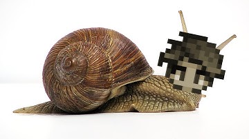 Stardew Valley But I Slow Down Every Step