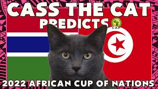 2021 AFRICA CUP OF NATIONS PREDICTION - GAMBIA VS TUNISIA - CASS THE CAT PREDICTS