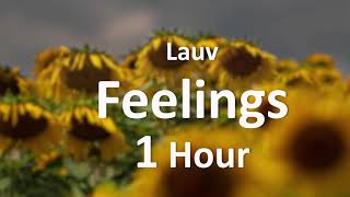 Lauv - Feelings [1 Hour] Loop