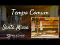 Compromissos definitivos de membros da Comunidade de Aliança | 28/02/2022 | Segunda-feira