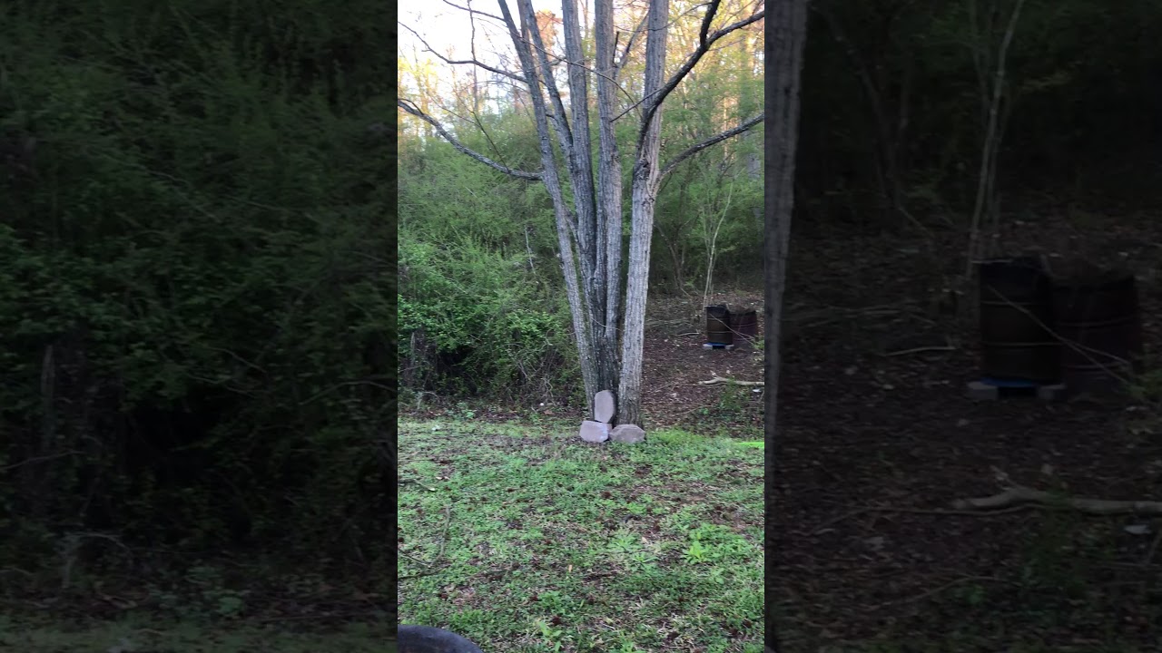 Backyard before - YouTube