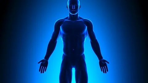 What is biological system give examples?