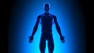 What are the Human Biological Systems?