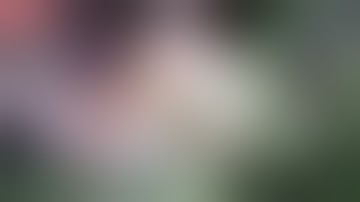 SCRIPT SKIN KHUFRA STAR DREADFUL CLOWN  | FULL EFFECTS