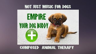 Dog Relaxation Music, Composed for the Wellness of 'Quiet Time ', Always Tested. by The Dog Empire-Dog Relaxation Music 1,554 views 4 years ago 10 hours, 1 minute