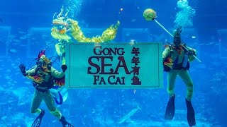 Underwater Dragon Dance at Gong SEA Fa Cai 2017 | S.E.A. Aquarium