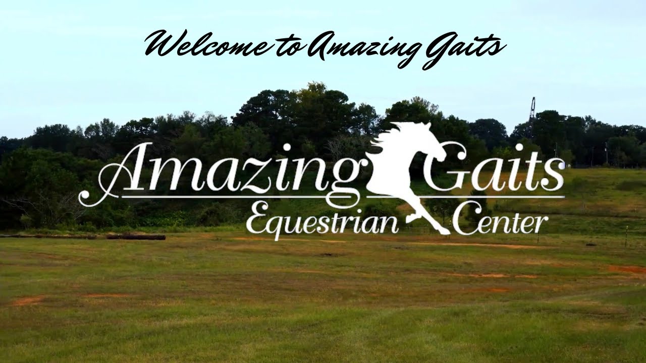 Amazing Gaits 10