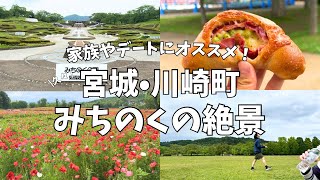 【宮城スポット】満開のポピーに感動🌹みちのく杜の湖畔公園に行ってみてた！
