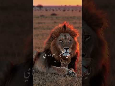 فخور فخور باسلامي 