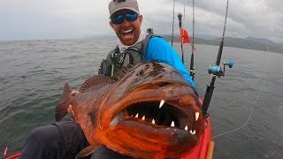 Giant Snapper with HUGE Teeth | Field Trips Panama | Field Trips with Robert Field