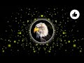 1 HORA Coco X Mood 24kGoldn MASHUP COVER 1 HORA Coco X Mood 24kGoldn MASHUP COVER