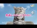 デオトイレ TVCM 「無菌レベルの歌篇」