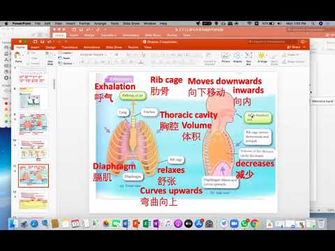 Form 3 Science Chapter 2 Respiration part 2 - YouTube