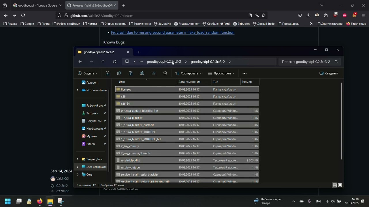 Ставим последнюю версию GoodBye DPI на Win 11