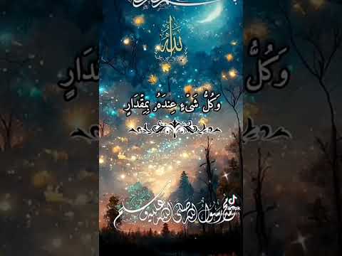 الله يعلم ما تحمل كل انثى وما تغيض الارحام وما تزداد قرآن كريم راحة نفسية عبد الباسط عبد الصمد