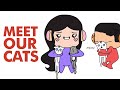 Meet Our Cats Animated