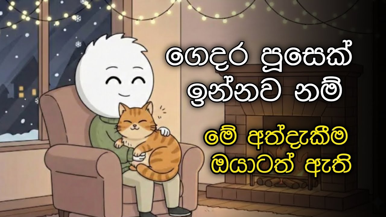 පූසන්ට කැමති අයගෙ මනෝභාවය | psychology of people who like cats sinhala