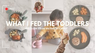 What I Fed the Toddlers | What my toddlers eat in a day - simple whole food based meals