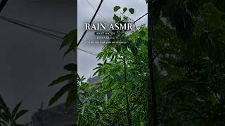Some Rain Brings Back Someone You Miss… 🌧️🥀 | Rain ASMR #Shorts#rain #rainsounds #asmr #quotes