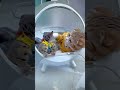 #funny #shorts #shortvideo #cat #котики