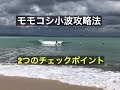 モモコシ小波 〜２つのチェックポイント〜