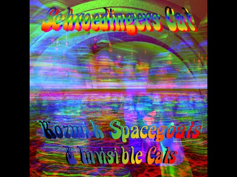 Schroedinger's Cat — Schroedinger's Cat- Kozmik Spacegoats and Invisible Cats