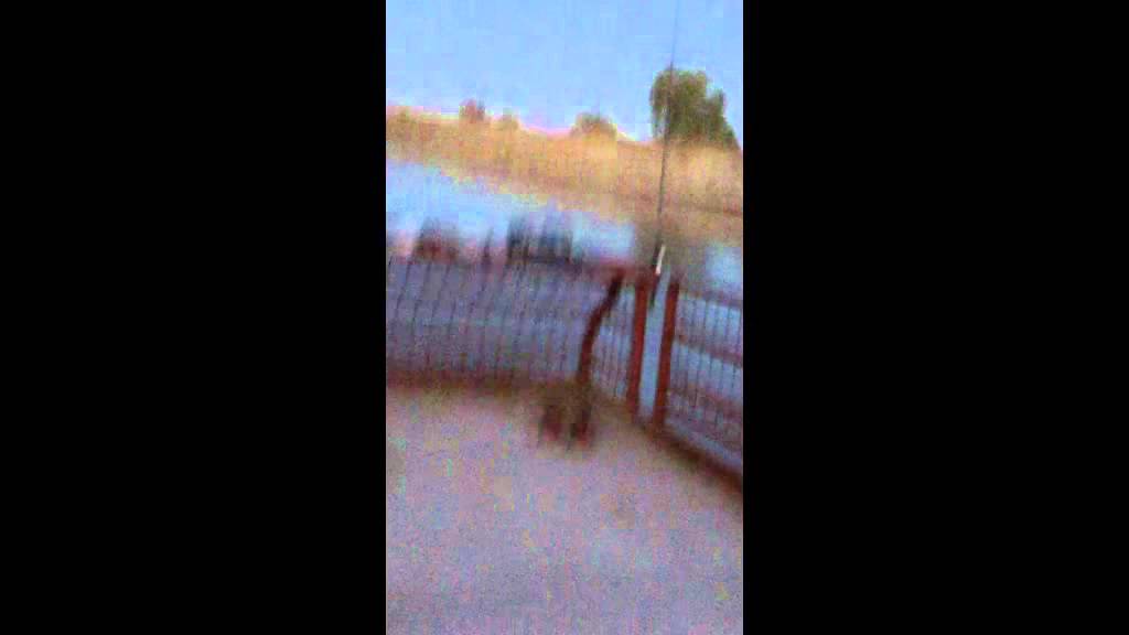 Fishing with bob 7 milk river havre mt YouTube